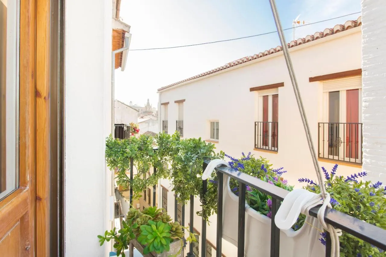 Sky Is Blue In Granada Private Parking Included Apartment