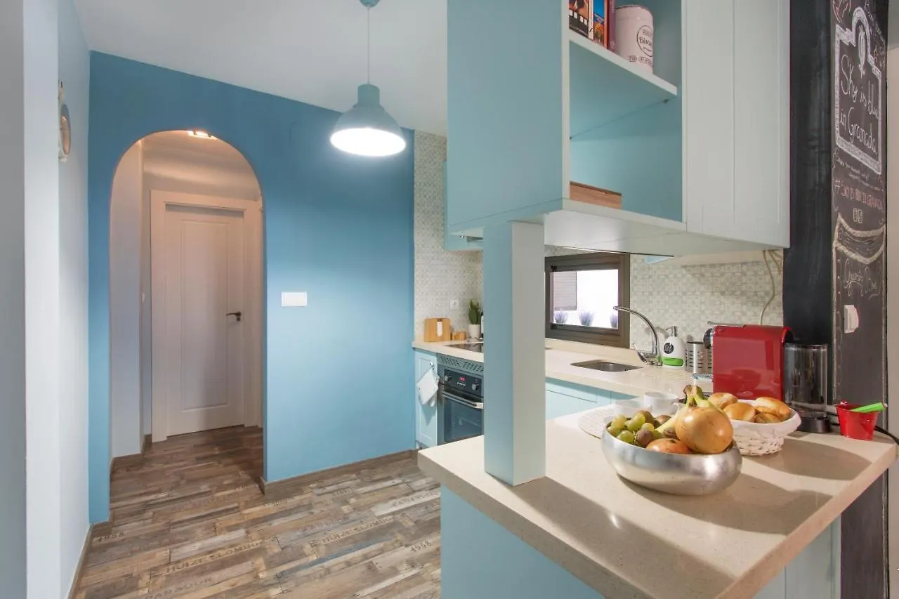 Sky Is Blue In Granada Private Parking Included Apartment Spain